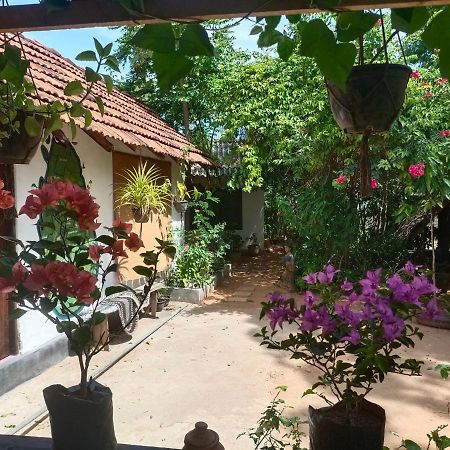 Mamisa Cafe, Home Stay Habarana Ngoại thất bức ảnh