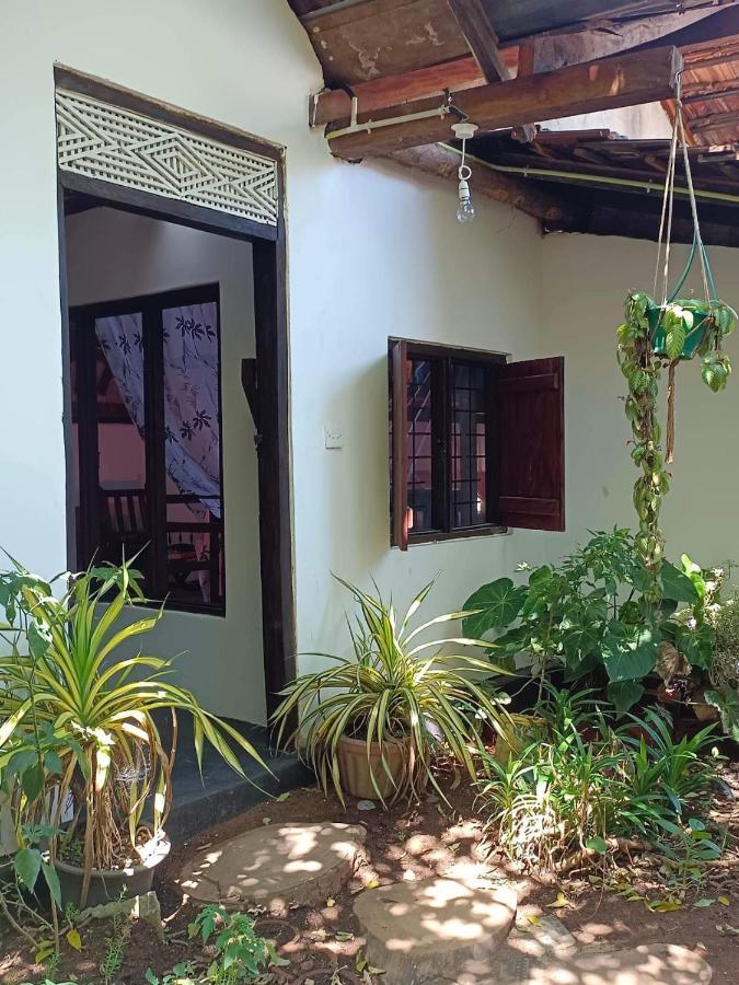 Mamisa Cafe, Home Stay Habarana Ngoại thất bức ảnh