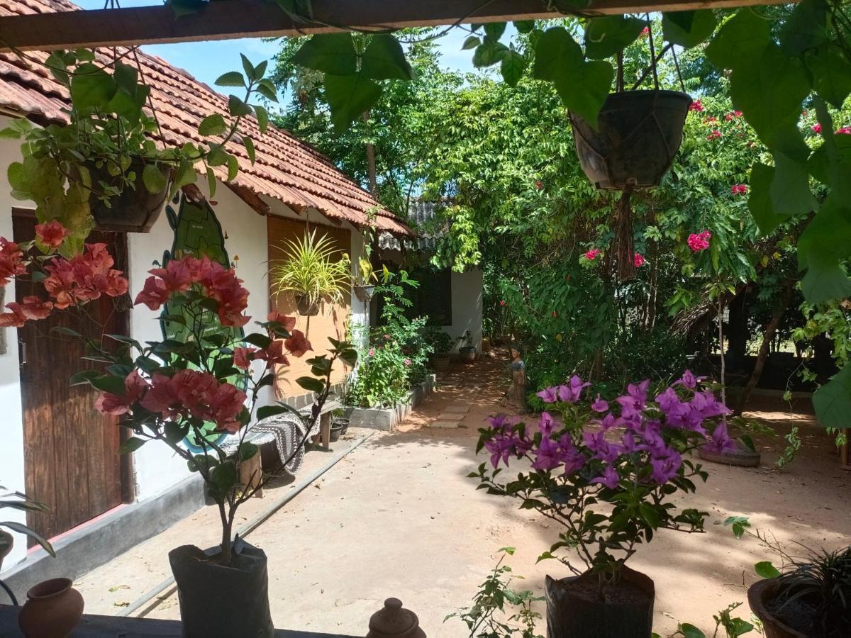 Mamisa Cafe, Home Stay Habarana Ngoại thất bức ảnh